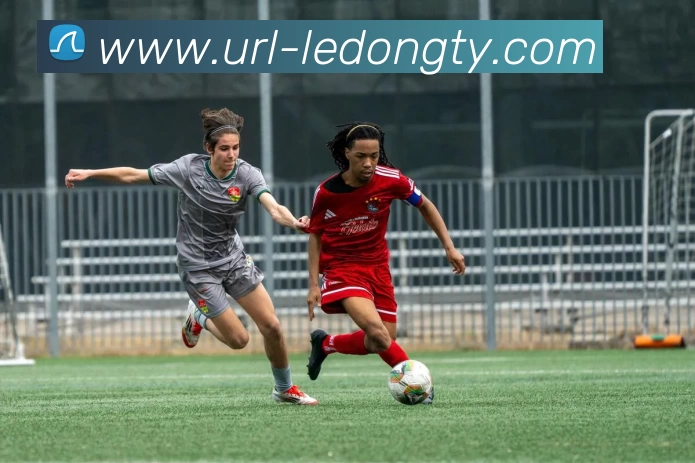 数据防护可视化